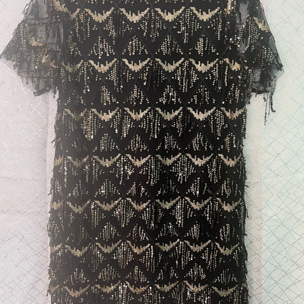 Flapper Sequin Dress